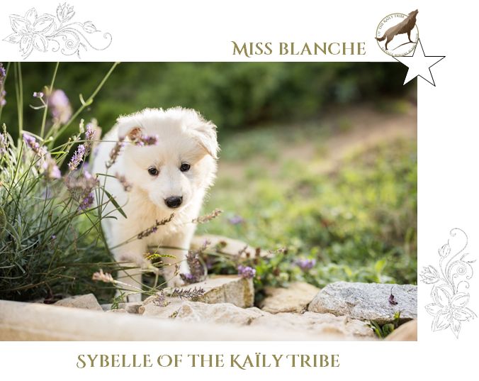 Sybelle Of The Kaïly Tribe