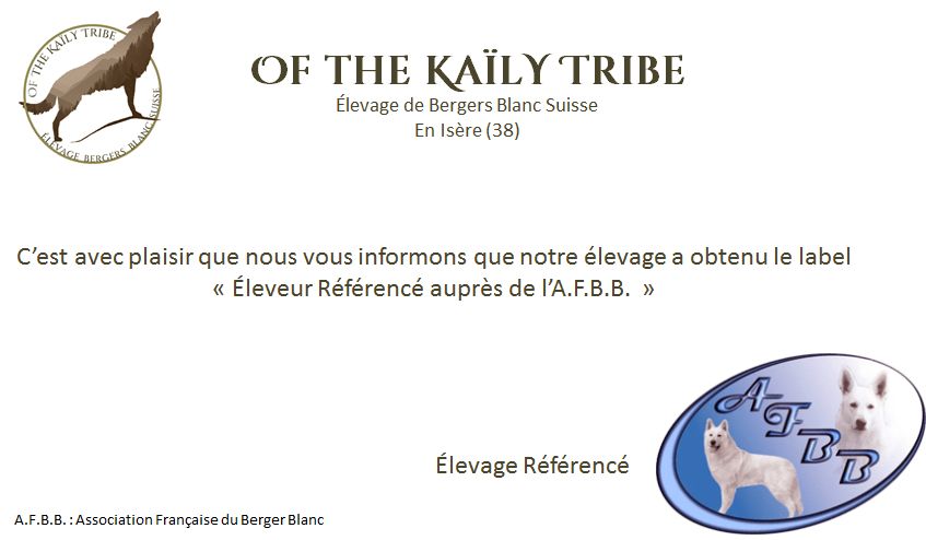 Of The Kaïly Tribe - Obtention du label 